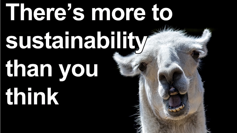 If you think you know what sustainability is – you probably don't